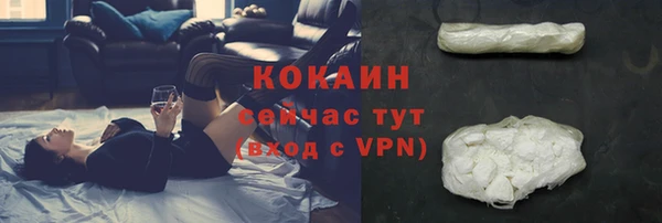 прущие грибы Михайловка