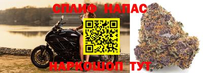 каннабис Камышлов
