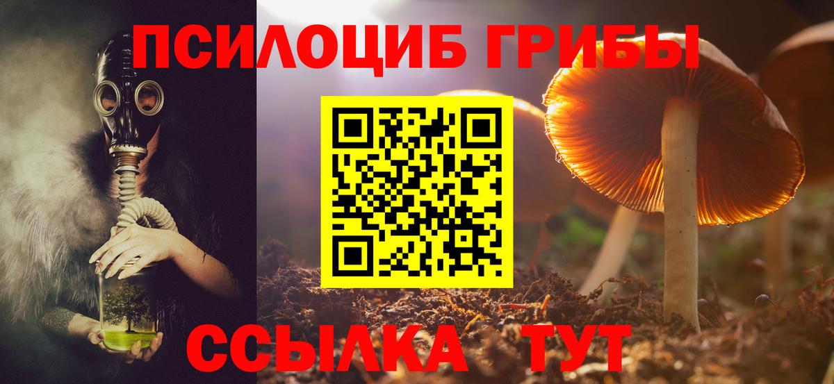 Псилоцибиновые грибы Magic Shrooms  Вход с VPN  Южно-Сахалинск 